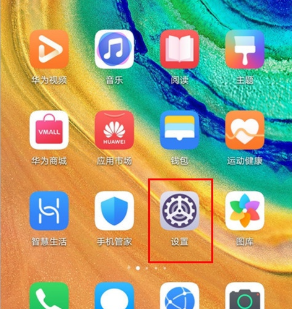 华为mate30pro设置显示实时网速的操作步骤