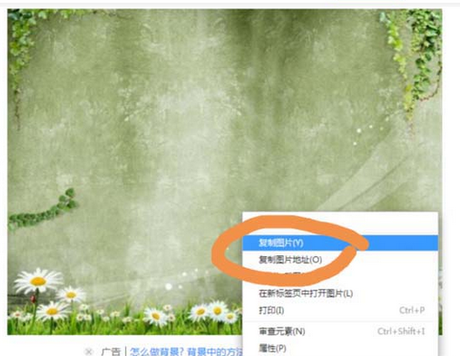 sai绘图软件在一张纸中插入两张图片的操作教程