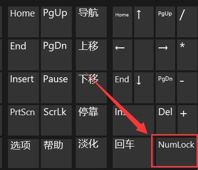 Win11键盘打不了字怎么办？Win11键盘打不了字解决办法