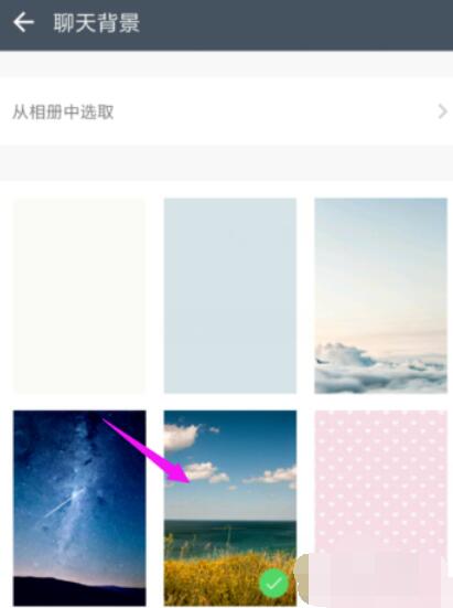 潮信内聊天背景的具体设置步骤