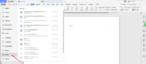 WPS文档怎么自定义添加词典?WPS文档自定义添加词典的步骤教程