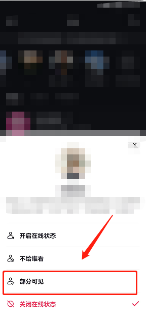 抖音在线状态部分可见怎么设置？抖音在线状态部分可见设置教程