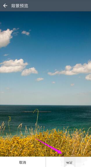 潮信内聊天背景的具体设置步骤