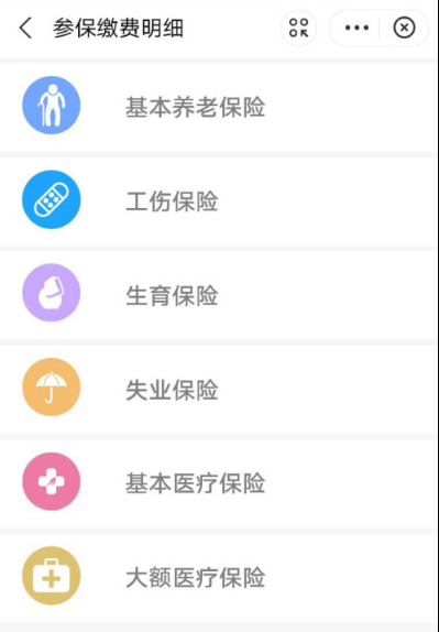 怎么用支付宝查询生育保险缴费记录 支付宝快速查看生育保险缴费记录步骤