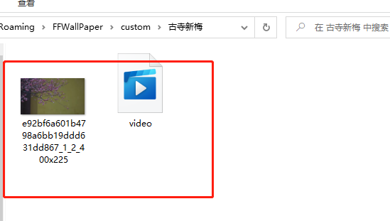 飞火动态壁纸怎么下载到本地?飞火动态壁纸下载到本地的方法