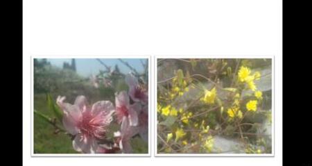 PPT幻灯片插入超链接实现跳着播放的方法教程