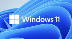 Windows11显卡驱动怎么重新安装?Windows11显卡驱动重新安装操作步骤