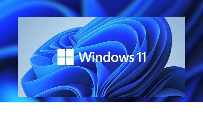 Win11中文怎么设置?微软win11设置中文教程介绍