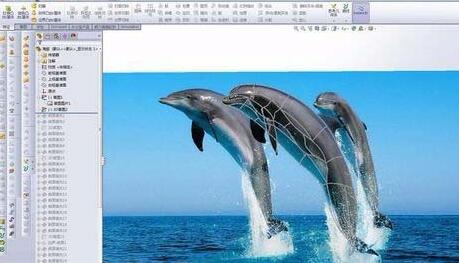 Solidworks绘制海豚的详细操作步骤
