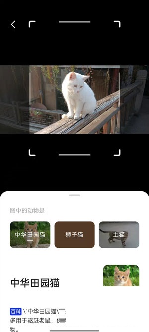 夸克AI相机怎么使用?夸克AI相机使用教程