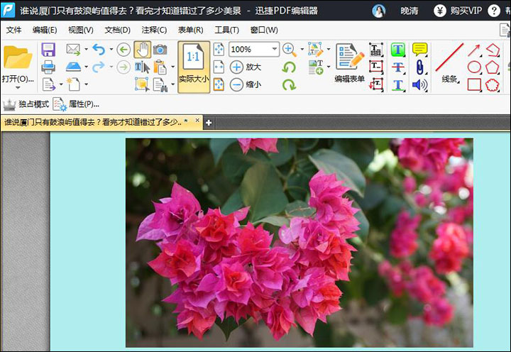 迅捷PDF编辑器中文件添加背景的操作步骤