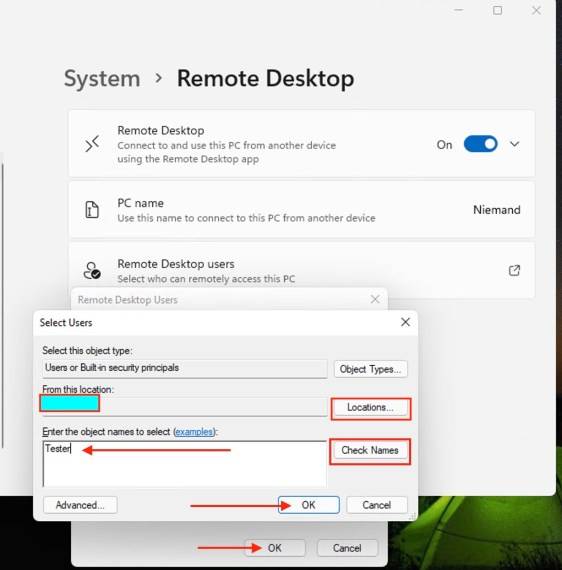 Win11里为什么会提示错误代码0x204?win11远程桌面连接问题的解决方法