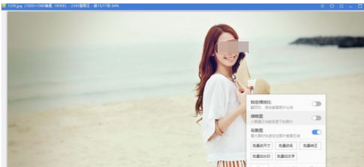2345看图王中调节插入文字透明度的操作教程