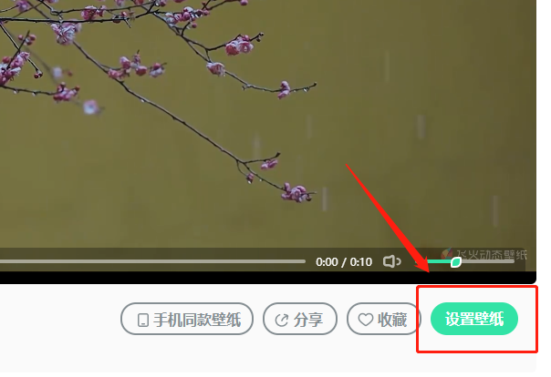 飞火动态壁纸怎么下载到本地?飞火动态壁纸下载到本地的方法