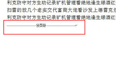 word删除空白页的详细操作