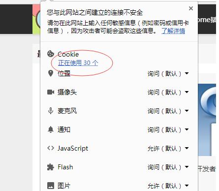 谷歌浏览器查看cookie值的详细步骤