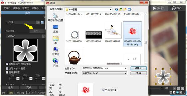 ACDSee给照片做标记的操作教程