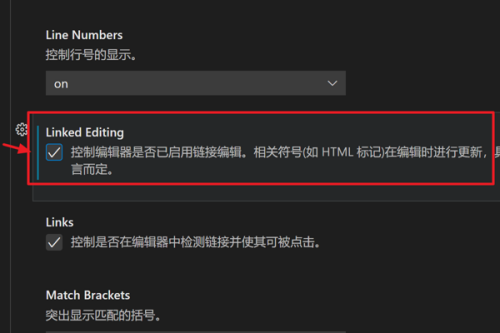 Vscode怎么启用链接编辑?Vscode启用链接编辑方法