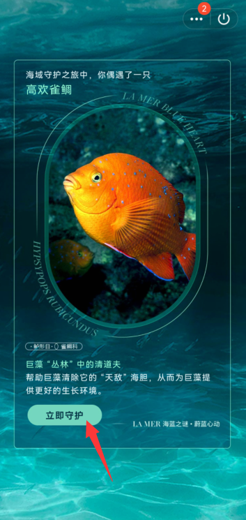 QQ守护海洋生物怎么参与?QQ守护海洋生物参与教程