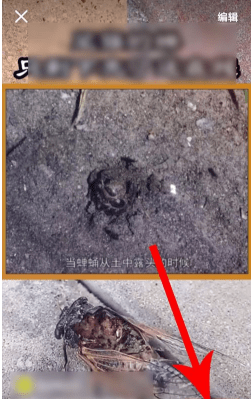 快手中弄我的快手影集的方法步骤