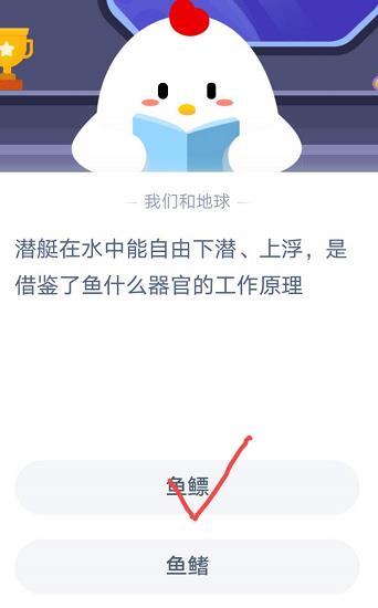 潜艇在水中能自由下潜上浮是借鉴了鱼什么器官的工作原理？蚂蚁庄园11月11日答案