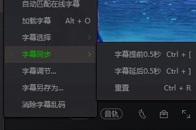 爱奇艺万能播放器中字幕的设置方法