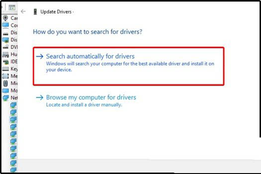 Win11无法使用指纹登录怎么办？Win11指纹登录不能用解决办法