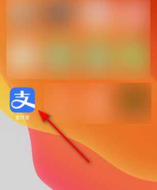 支付宝怎么通过邮箱查找好友 支付宝通过邮箱查找好友的步骤教程