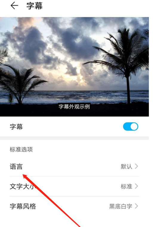华为mate40怎么设置字幕语言为Eesti 华为mate40中设置字幕语言为Eesti的方法
