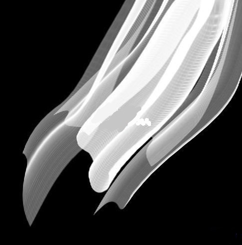 photoshop怎么制作风中飞扬的薄纱？photoshop制作风中飞扬的薄纱教程分享