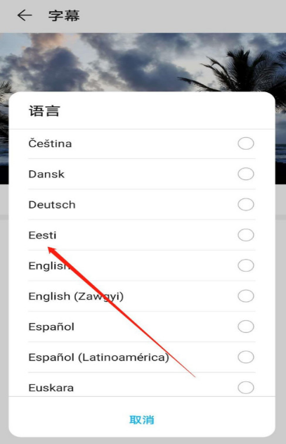 华为mate40怎么设置字幕语言为Eesti 华为mate40中设置字幕语言为Eesti的方法