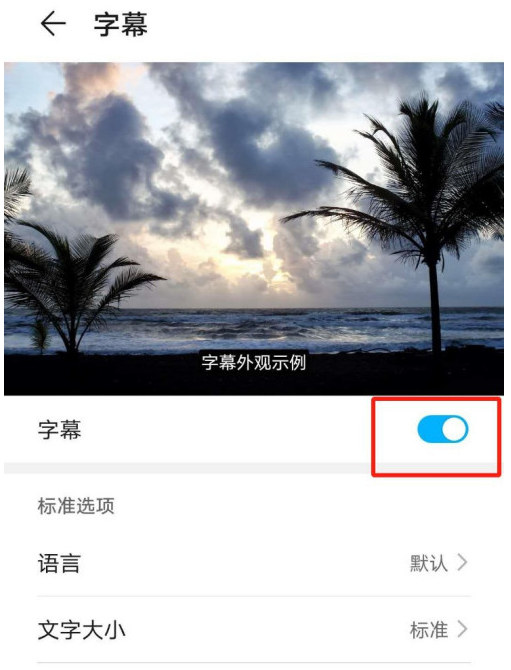 华为mate40怎么设置字幕语言为Eesti 华为mate40中设置字幕语言为Eesti的方法