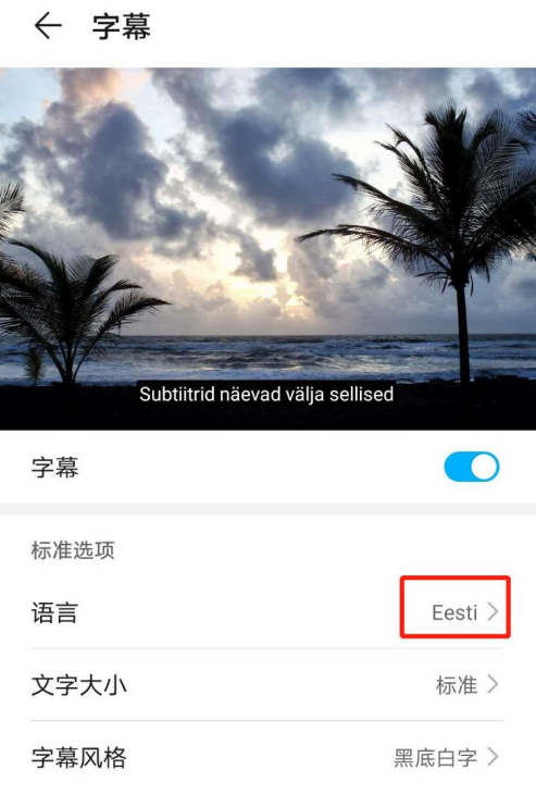 华为mate40怎么设置字幕语言为Eesti 华为mate40中设置字幕语言为Eesti的方法