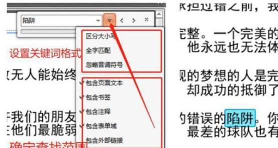 迅捷pdf编辑器搜索关键字的详细流程介绍