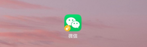 怎么在微信上查看核酸检测结果 微信上查看核酸检测结果的方法