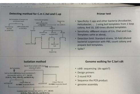 PowerPoint 2013打印占满整张纸的设置方法