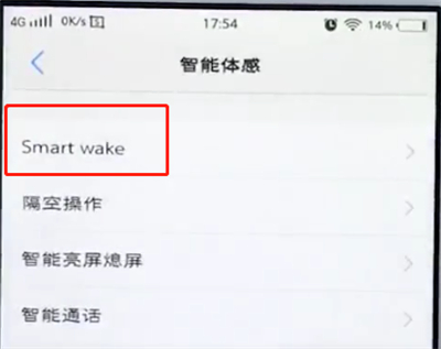 vivo手机中设置黑屏手势的具体方法