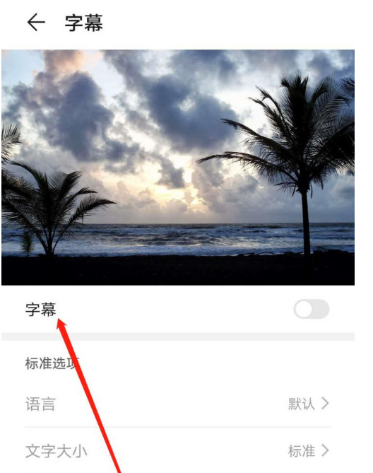 华为mate40怎么设置字幕语言为Eesti 华为mate40中设置字幕语言为Eesti的方法