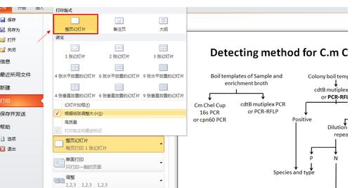 PowerPoint 2013打印占满整张纸的设置方法
