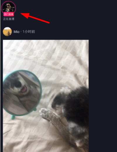 抖音看直播关闭评论的操作步骤