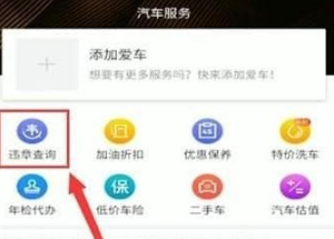 懂车帝违章在哪里查？懂车帝查询违章操作方法