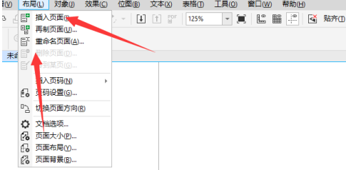 CorelDraw2019页面如何进行重命名？CorelDraw2019页面进行重命名的方法