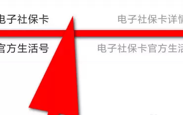 支付宝查询社保缴费信息的具体方法