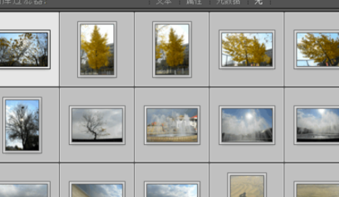 Lightroom将照片添到收藏夹的操作教程