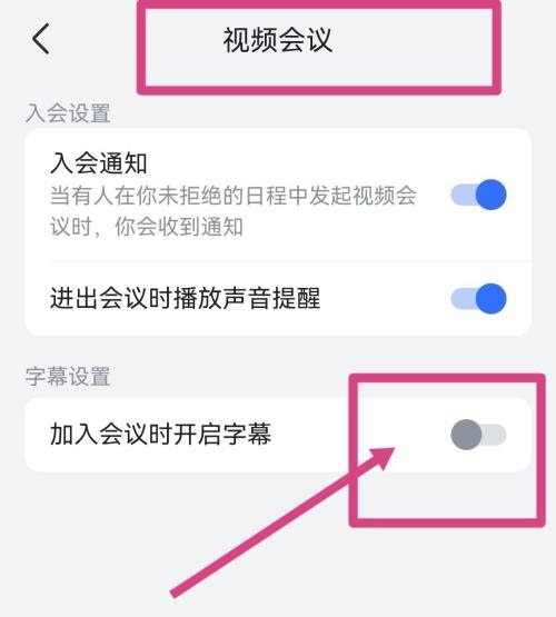 飞书怎么开启视频会议字幕?飞书开启视频会议字幕教程