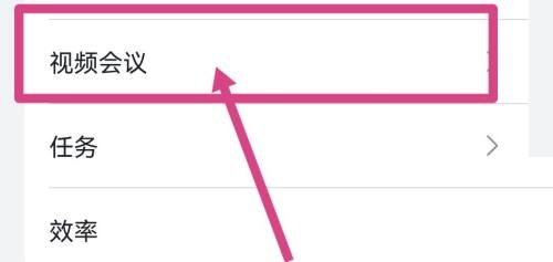 飞书怎么开启视频会议字幕?飞书开启视频会议字幕教程