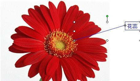 ppt2013使用触发器实现标注效果的简单步骤