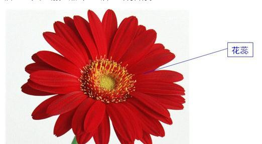 ppt2013使用触发器实现标注效果的简单步骤