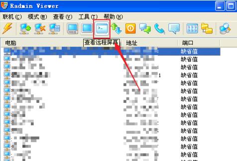 Radmin进行远程桌面的方法步骤