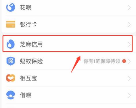 支付宝芝麻信用晚点付是什么?芝麻信用开通晚点付方法